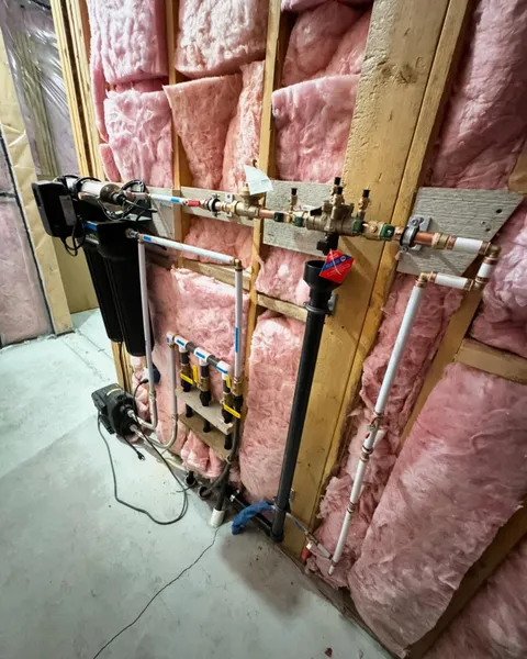 Backflow Assembly